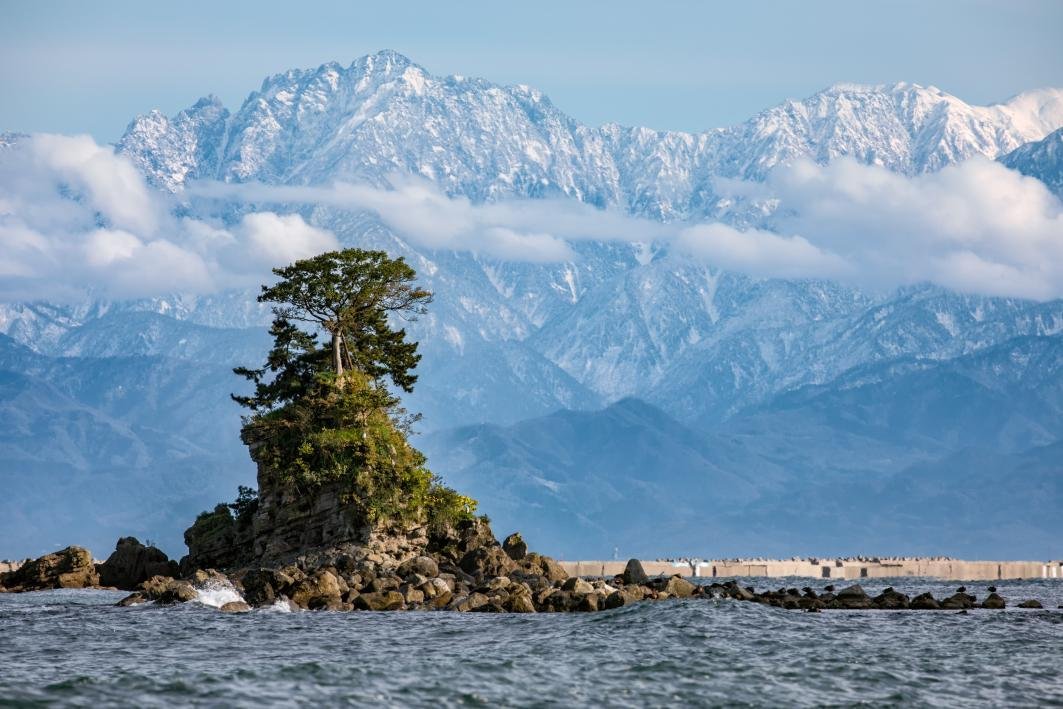 🏖️ 호조 해수욕장(호조카이스이요쿠조) 이미지 7